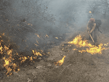 El incendió comenzó alrededor de las 13:00 horas; no se reportan personas lesionadas tras los hechos. PROTECCIÓN CIVIL Y BOMBEROS DE JALISCO