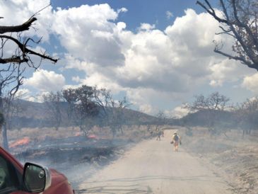 Se desconocen el área afectada, así como las causas del siniestro. CORTESÍA