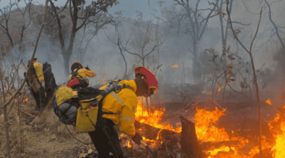 El incendio en el Bosque La Primavera se registró el pasado domingo 22 de marzo. X / @PCJalisco