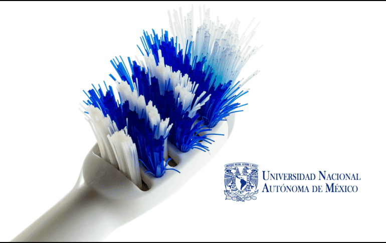 De acuerdo con recomendaciones difundidas por la UNAM, estos son los pasos básicos para mantener tu cepillo limpio. CANVA