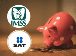 A diferencia de quienes reciben pensión del ISSSTE, las y los jubilados del IMSS sí verán reflejado su depósito en pleno periodo vacacional. ESPECIAL/ Unsplash