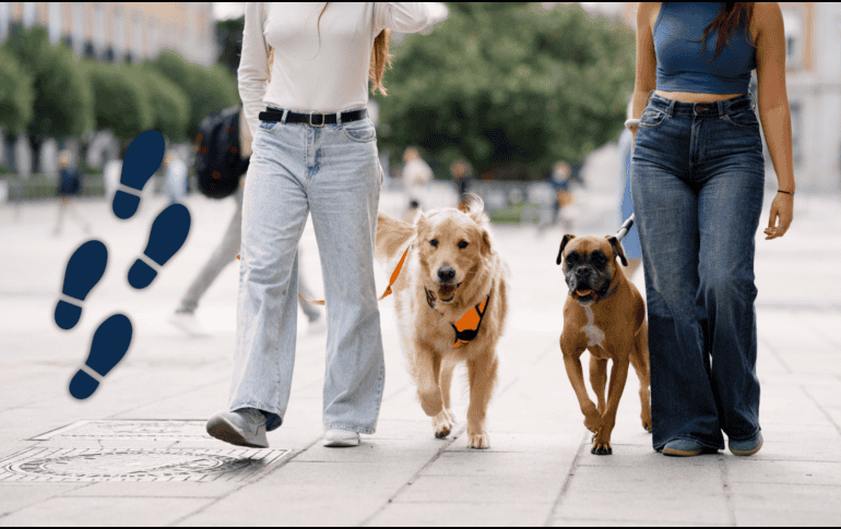 Además, caminar al aire libre tiene beneficios adicionales, como la exposición a la vitamina D del sol y la mejora del estado de ánimo. ESPECIAL / CANVA