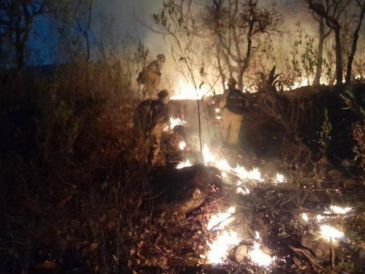 Entre 2018 y 2025, el Bosque La Primavera ha registrado al menos 474 incendios forestales. EL INFORMADOR/ARCHIVO