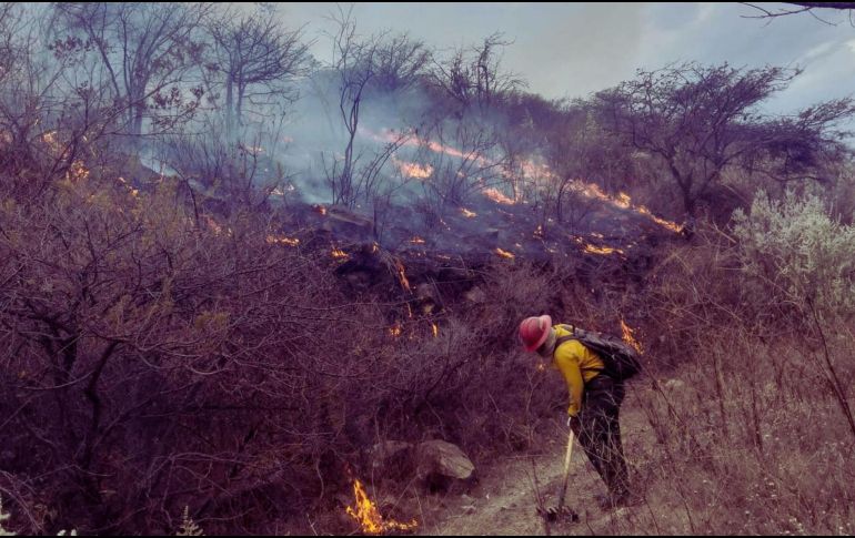 El titular del OPD Bosque La Primavera, Gabriel Vázquez Sánchez, dio información sobre los incendios y las invasiones en la localidad. ESPECIAL / Protección Civil y Bomberos