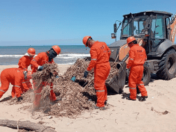 La gobernadora de Veracruz, Rocío Nahle, rechazó inicialmente la existencia del derrame y posteriormente atribuyó la presencia de hidrocarburos a una “chapopotera natural”. EFE/ARCHIVO