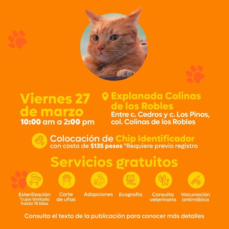  CORTESÍA/ Protección Animal Zapopan&nbsp;