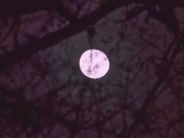 El término proviene de antiguas tradiciones de pueblos originarios de América del Norte. ESPECIAL