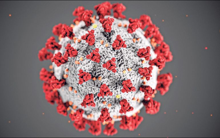 Hasta noviembre de 2025, la BA.3.2 se había detectado en siete países. ESPECIAL