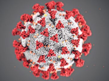Hasta noviembre de 2025, la BA.3.2 se había detectado en siete países. ESPECIAL