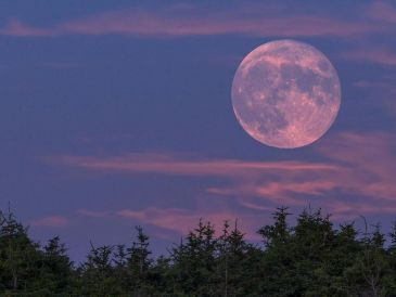 Observar la Luna Rosa permite conectar con los ciclos naturales y el cambio de estación. PEXELS