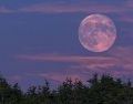 Observar la Luna Rosa permite conectar con los ciclos naturales y el cambio de estación. PEXELS