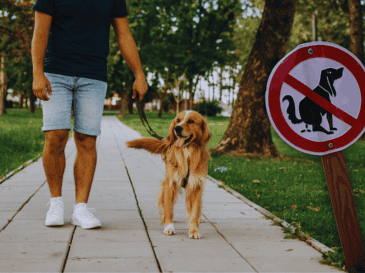 No recoger las heces de perros está dentro de los comportamientos más tóxicos de los mexicanos. ESPECIAL / CANVA