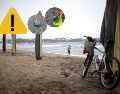 Este animal puede "aguar" tus vacaciones de Semana Santa en Colima: ¡Toma precauciones! AP / ARCHIVO