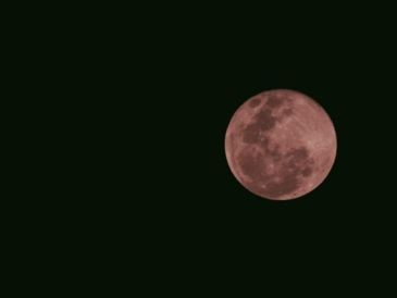 El  evento lunar marcará el inicio de una nueva etapa en la primavera. PEXELS