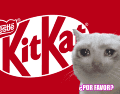La compañía informó que teme que el producto pueda "entrar en canales de venta no oficiales en los mercados europeos". ESPECIAL/X/ @KITKAT
