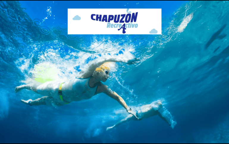 El acceso es completamente gratuito solo deberás presentar una identificación oficial ya sea tu INE o pasaporte vigente para el registro. ESPECIAL/ Unsplash