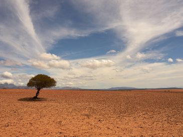 A nivel mundial, los extremos de calor y sequía combinados podrían ocurrir casi 10 veces al año en promedio para finales de siglo. Unsplash
