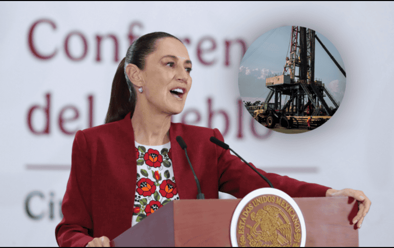 La propuesta contempla la creación de un comité científico encargado. EFE/M. Guzmán