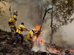 Brigadistas forestales refuerzan labores de prevención y combate durante la temporada crítica de estiaje en diversas regiones del país; Jalisco es actualmente el quinto lugar con más bosques afectados por incendios. ESPECIAL