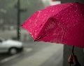 Las precipitaciones más intensas y constantes están programadas para presentarse a media tarde y extenderse de manera ininterrumpida hacia la noche. Unsplash