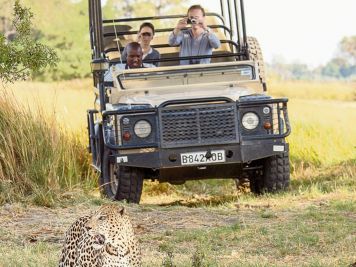Botsuana: viajar al corazón salvaje