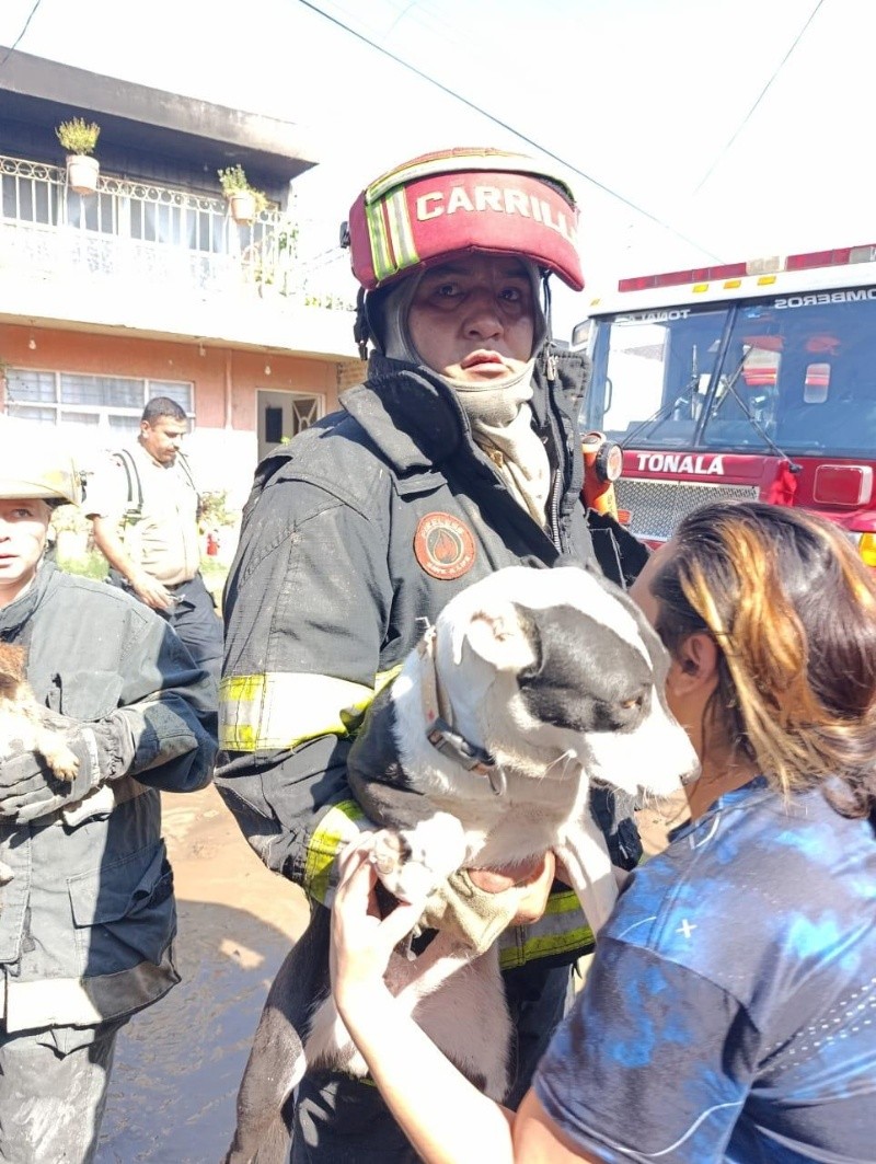 &nbsp;ESPECIAL / POLICÍA DE TÓNALA