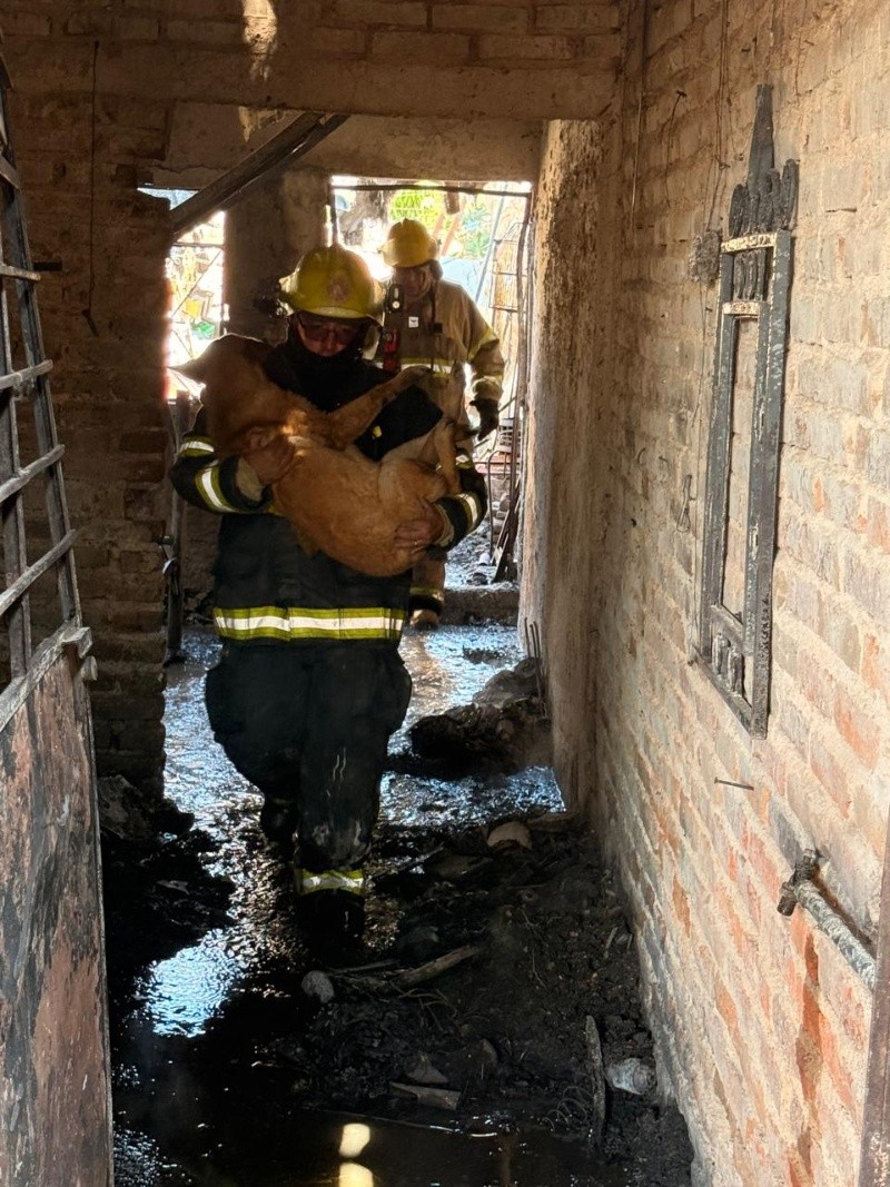 &nbsp;ESPECIAL / POLICÍA DE TÓNALA&nbsp;