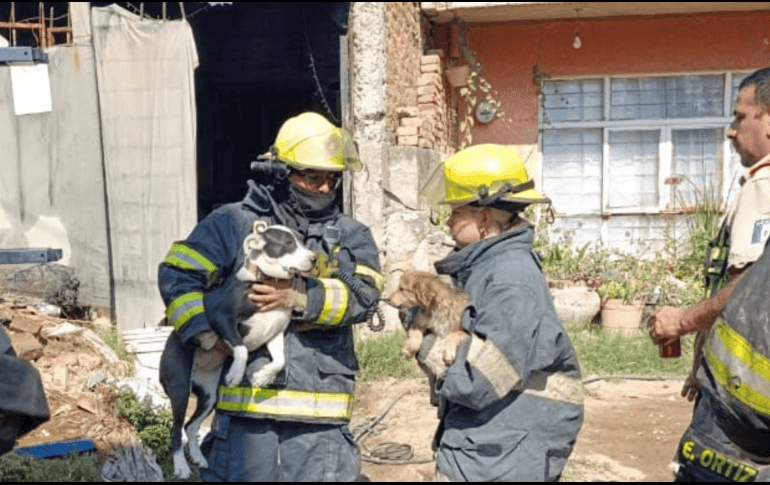  Durante las labores, una habitación con estructura de lámina colapsó, incrementando el riesgo, refirió la autoridad municipal. ESPECIAL / POLICÍA DE TÓNALA