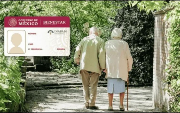 Este programa no consiste en un depósito directo de dinero, sino en la vinculación con empresas que ofrecen vacantes de medio tiempo, jornada completa o por proyecto. UNSPLASH.