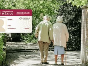 Este programa no consiste en un depósito directo de dinero, sino en la vinculación con empresas que ofrecen vacantes de medio tiempo, jornada completa o por proyecto. UNSPLASH.