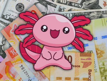 A pesar de la reciente incertidumbre global que suele golpear a las divisas emergentes, la moneda nacional se cotiza hoy en un promedio que oscila entre los 17.30 y 17.40 pesos por dólar estadounidense. ESPECIAL / CANVA