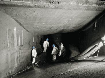 EI SIAPA hace un llamado de corresponsabilidad a la ciudadanía para no tirar basura en las calles y disponer de manera responsable los residuos. ESPECIAL/Siapa Gdl