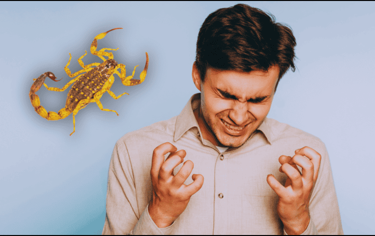 Descubre por qué confiar en tu mal genio podría costarte la vida ante la picadura de un alacrán y qué dice realmente la ciencia médica hoy. ESPECIAL / CANVA