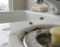 Hay practicas que previenen la formación de las moscas de drenaje en tu baño. ESPECIAL