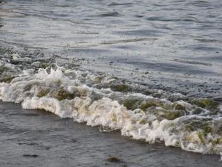 El derrame reportado desde febrero de 2026 en el Golfo de México fue provocado por una fuga en un ducto del complejo Cantarell. EFE/ ARCHIVO.