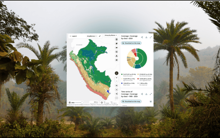 La región alberga más del 10% de las especies conocidas del planeta. CANVA/MAPBIOMASPERU/ESPECIAL
