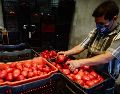 El mayor incremento en el precio del jitomate se observó en el medio mayoreo, con un 37.3% de subida en la Ciudad de México. EL INFORMADOR/ARCHIVO