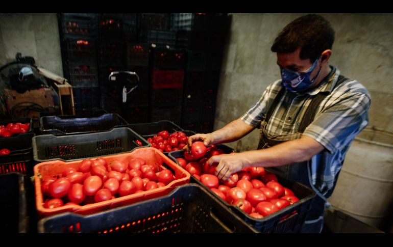 El mayor incremento en el precio del jitomate se observó en el medio mayoreo, con un 37.3% de subida en la Ciudad de México. EL INFORMADOR/ARCHIVO