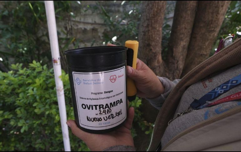 Salud Jalisco instala 15 mil ovitrampas en Jalisco para vigilar y prevenir la propagación del dengue. CORTESÍA