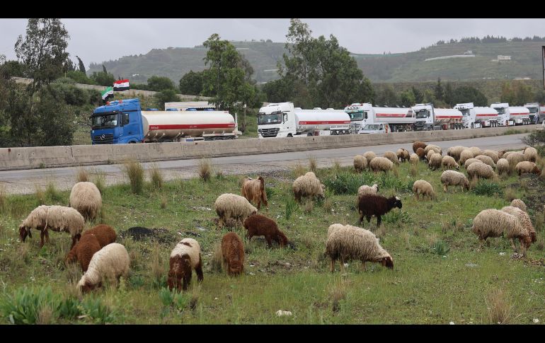 Camiones cisterna de petróleo raqi haciendo fila a lo largo de la carretera entre Tartus y Latakia, Siria. EFE/M. Alrifai
