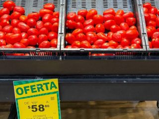 Consumidores han tenido que modificar sus compras y reducir cantidades ante el aumento del precio del jitomate. EL INFORMADOR/A. Navarro