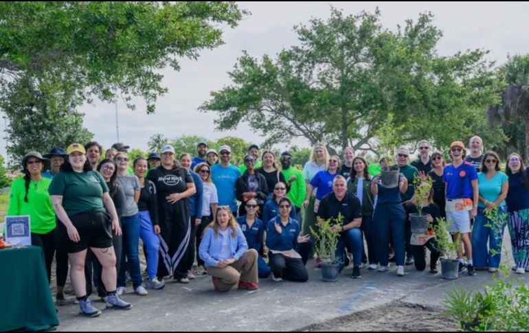 El proyecto de reforestación comenzó desde el 2025 y a la fecha se han plantado más de 250 mil árboles. ESPECIAL