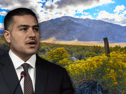 El propio García Harfuch señaló que el operativo en el Triángulo Dorado sigue en curso, encabezado principalmente por la Secretaría de la Defensa Nacional. SUN / ARCHIVO - ESPECIAL / CANVA