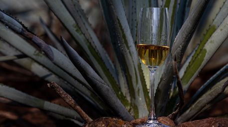 El Congreso de la Unión aprobó que el 24 de julio sea reconocido oficialmente como el Día Nacional del Tequila en México. CORTESÍA