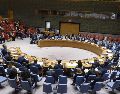 La propuesta se impulsa desde 2015 y ya ha sumado el apoyo de más de un centenar de países. EFE/Archivo