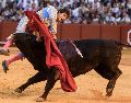 Andrés Roca Rey fue alcanzado al entrar a matar al quinto toro de la tarde, un ejemplar marcado con el hierro de Toros de Cortés. EFE/R. Caro