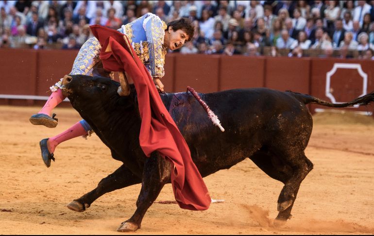 Andrés Roca Rey fue alcanzado al entrar a matar al quinto toro de la tarde, un ejemplar marcado con el hierro de Toros de Cortés. EFE/R. Caro
