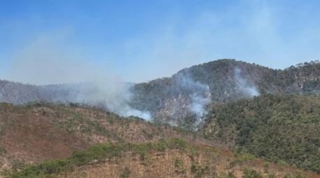 Autoridades mantienen vigilancia constante para evitar que las llamas se extiendan hacia otras áreas naturales y comunidades cercanas. CORTESÍA/PROTECCIÓN CIVIL Y BOMBEROS DE JALISCO