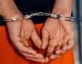 En la jurisdicción hongkonesa, los agentes de la unidad especializada ejecutaron redadas el pasado 14 de abril en las que arrestaron a nueve hombres, con edades de entre 18 y 61 años. Pexels