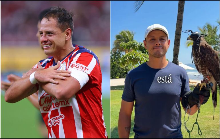 Esto dice Chicharito en un nuevo TikTok polémico. IMAGO 7 / ARCHIVO / TIKTOK chicha14_